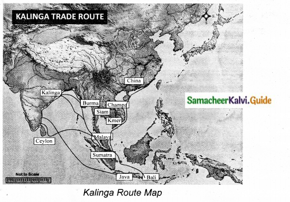 Samacheer Kalvi 10th Social Science Guide Economics Chapter 2 Globalization and Trade 3