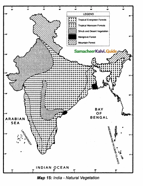 Samacheer Kalvi 10th Social Science Guide Geography Chapter 2 Climate and Natural Vegetation of India 5