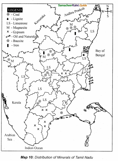 Samacheer Kalvi 10th Social Science Guide Geography Chapter 7 Human Geography of Tamil Nadu 5