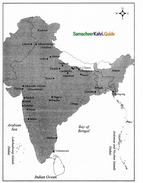 Samacheer Kalvi 10th Social Science Guide History Chapter 8 Nationalism Gandhian Phase 2