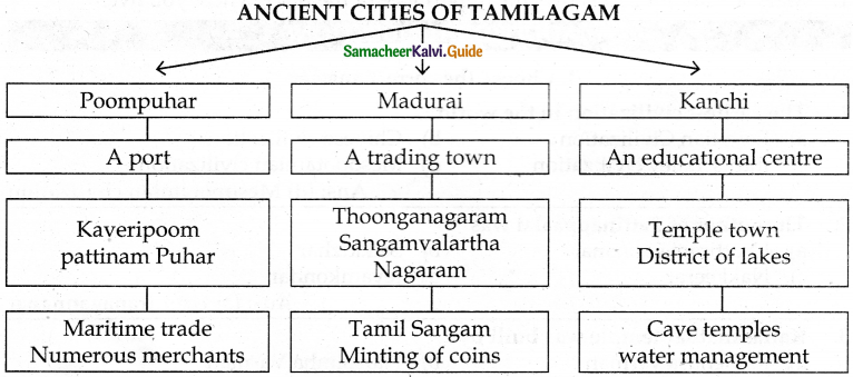 Samacheer Kalvi 6th Social Science Guide History Term 1 Chapter 4 Ancient Cities of Tamilagam