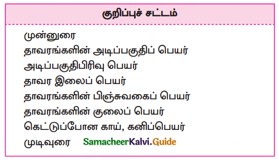 Samacheer Kalvi 10th Tamil Guide Chapter 1.2 தமிழ்சொல் வளம் - 4