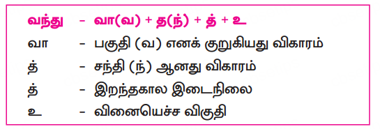 Samacheer Kalvi 10th Tamil Guide Chapter 3.2 காசிக்காண்டம் - 2