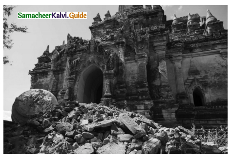 Samacheer Kalvi 10th Tamil Guide Chapter 4.3 பரிபாடல் - 1