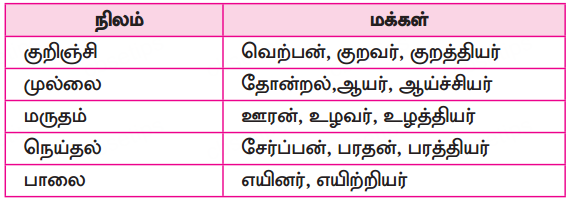 Samacheer Kalvi 10th Tamil Guide Chapter 6.6 அகப்பொருள் இலக்கணம் - 11