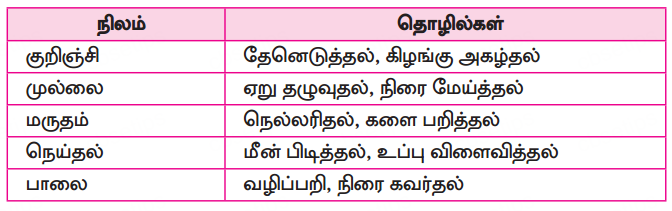 Samacheer Kalvi 10th Tamil Guide Chapter 6.6 அகப்பொருள் இலக்கணம் - 13