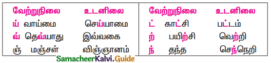 Samacheer Kalvi 11th Tamil Guide Chapter 2.7 புணர்ச்சிவிதிகள் - 1