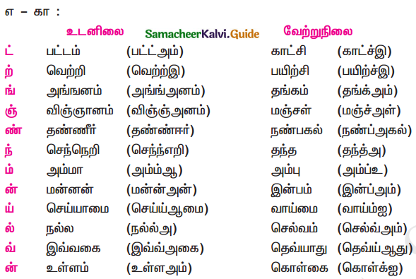 Samacheer Kalvi 11th Tamil Guide Chapter 2.7 புணர்ச்சிவிதிகள் - 2