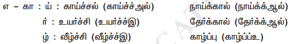 Samacheer Kalvi 11th Tamil Guide Chapter 2.7 புணர்ச்சிவிதிகள் - 3