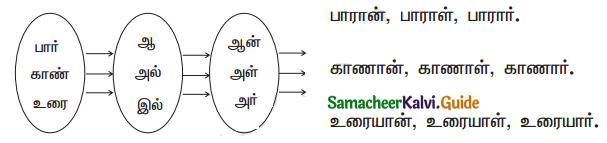 Samacheer Kalvi 11th Tamil Guide Chapter 3.6 பகுபத உறுப்புகள் - 8