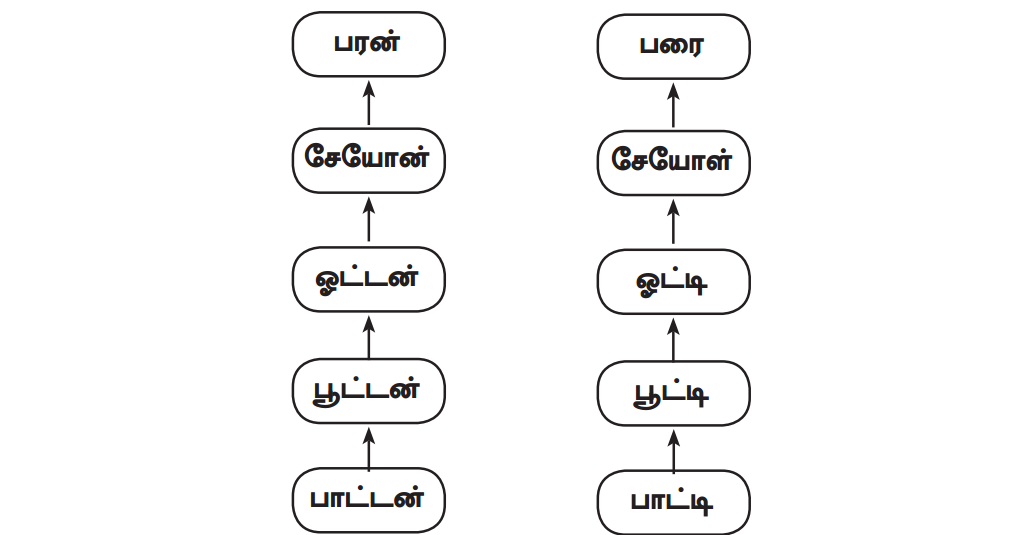 Samacheer Kalvi 12th Tamil Guide Chapter 3.1 தமிழர் குடும்ப முறை 1