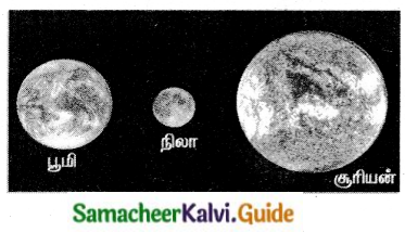 Samacheer Kalvi 6th Tamil Guide Chapter 2.1 சிலப்பதிகாரம் 1