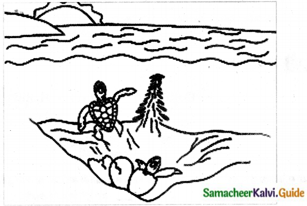 Samacheer Kalvi 6th Tamil Guide Chapter 2.4 கிழவனும் கடலும் 1