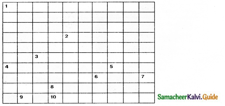 Samacheer Kalvi 6th Tamil Guide Chapter 3.5 மொழிமுதல், இறுதி எழுத்துகள் 7