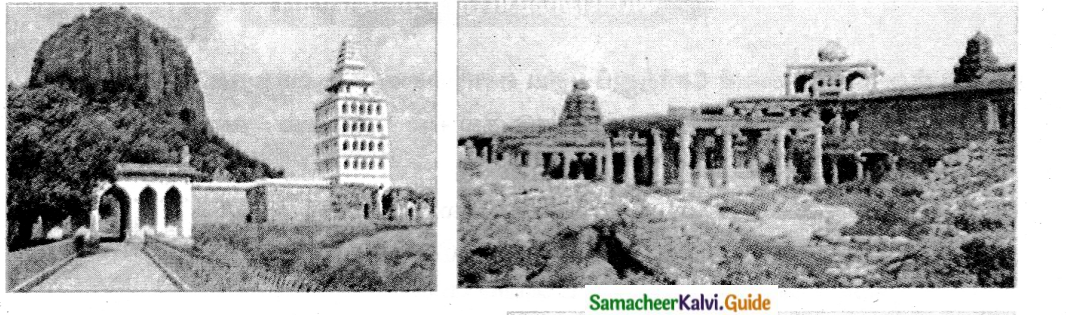 Samacheer Kalvi 6th Tamil Guide Chapter 5.5 மயங்கொலிகள் 3