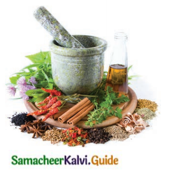 Samacheer Kalvi 8th Tamil Guide Chapter 3.5 எச்சம் 2
