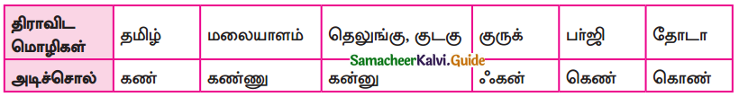Samacheer Kalvi 9th Tamil Guide Chapter 1.1 திராவிட மொழிக்குடும்பம் - 4