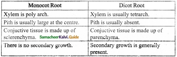 Samacheer Kalvi 10th Science Guide Chapter 12 Plant Anatomy and Plant Physiology 5
