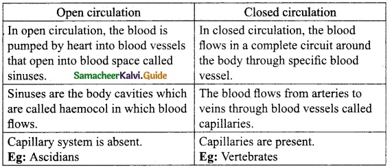 Samacheer Kalvi 10th Science Guide Chapter 14 Transportation in Plants and Circulation in Animals 7