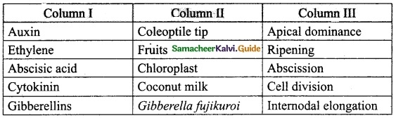 Samacheer Kalvi 10th Science Guide Chapter 16 Plant and Animal Hormones 2