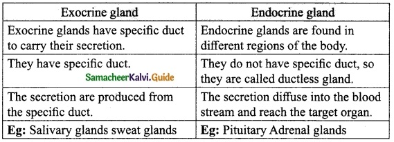 Samacheer Kalvi 10th Science Guide Chapter 16 Plant and Animal Hormones 4