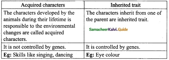 Samacheer Kalvi 10th Science Guide Chapter 19 Origin and Evolution of Life 4