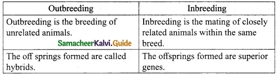 Samacheer Kalvi 10th Science Guide Chapter 20 Breeding and Biotechnology 3