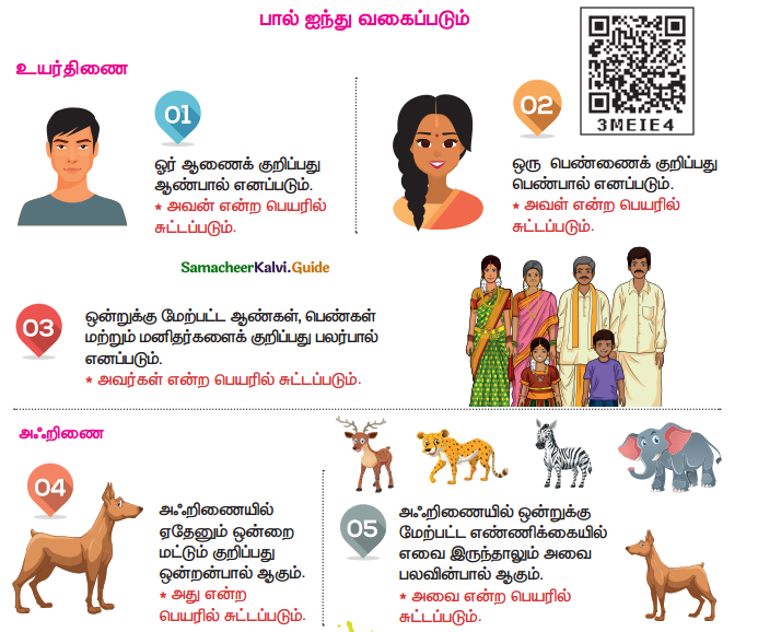 Samacheer Kalvi 4th Tamil Guide Chapter 2 பனைமரச் சிறப்பு - 10