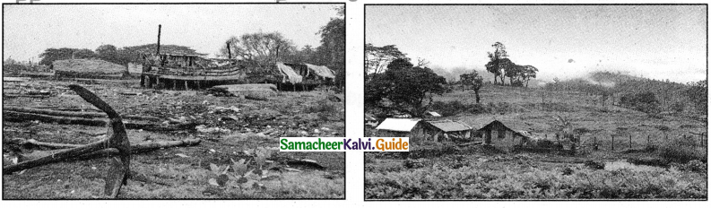 Samacheer Kalvi 4th Tamil Guide Chapter 8 விடியும் வேளை - 2