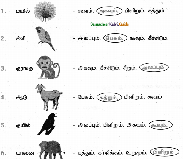 Samacheer Kalvi 5th Tamil Guide Chapter 1.4 மரபுச்சொற்கள் - 2
