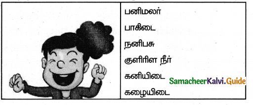 Samacheer Kalvi 5th Tamil Guide Chapter 1.4 மரபுச்சொற்கள் - 7