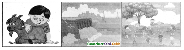 Samacheer Kalvi 5th Tamil Guide Chapter 5.4 இணைப்புச்சொற்கள் - 12