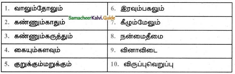 Samacheer Kalvi 5th Tamil Guide Chapter 7.4 இணைச்சொற்கள் - 1