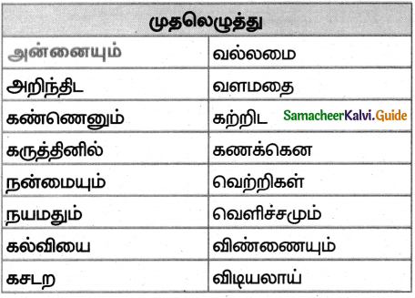 Samacheer Kalvi 5th Tamil Guide Chapter 8.4 மயங்கொலிச் சொற்கள் - 3