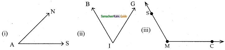 Samacheer Kalvi 6th Maths Guide Term 1 Chapter 4 Geometry Ex 4.2 14