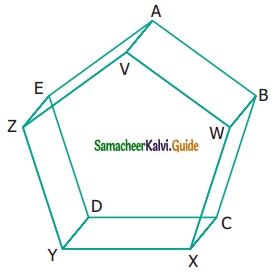 Samacheer Kalvi 6th Maths Guide Term 1 Chapter 4 Geometry Ex 4.4 2