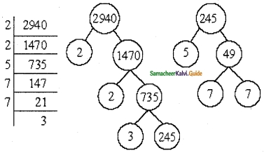 Samacheer Kalvi 6th Maths Guide Term 2 Chapter 1 Numbers Ex 1.2 16