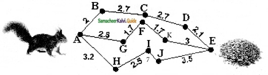 Samacheer Kalvi 6th Maths Guide Term 2 Chapter 2 Measurements Ex 2.3 6