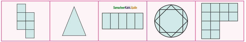 Samacheer Kalvi 6th Maths Guide Term 3 Chapter 4 Symmetry Ex 4.2 2