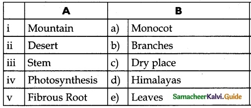 Samacheer Kalvi 6th Science Guide Term 1 Chapter 4 The Living World of Plants 1
