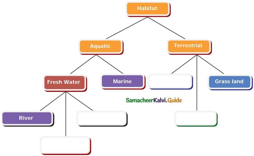 Samacheer Kalvi 6th Science Guide Term 1 Chapter 4 The Living World of Plants 4