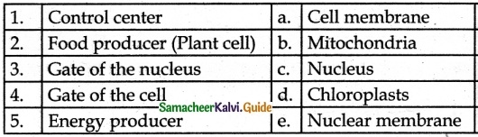 Samacheer Kalvi 6th Science Guide Term 2 Chapter 5 The Cell 1