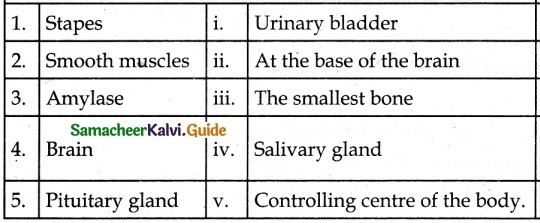 Samacheer Kalvi 6th Science Guide Term 2 Chapter 6 Human Organ Systems 4