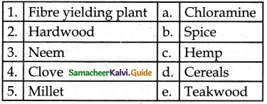 Samacheer Kalvi 6th Science Guide Term 3 Chapter 5 Plants in Daily Life 1