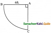 Samacheer Kalvi 8th Maths Guide Answers Chapter 2 Measurements Ex 2.4 2