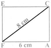 Samacheer Kalvi 8th Maths Guide Answers Chapter 5 Geometry Ex 5.5 9