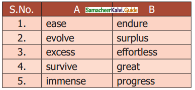Samacheer Kalvi 9th English Guide Prose Chapter 1 Learning the Game
