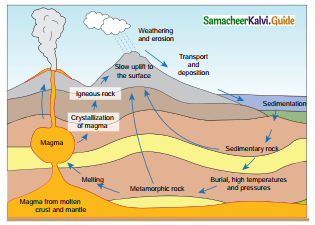 Samacheer Kalvi 9th Social Science Guide Geography Chapter 1 ...