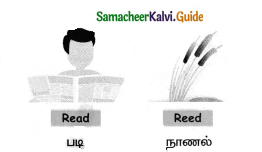 Samacheer Kalvi 4th English Guide Term 1 Prose Chapter 2 Do it yourself 10