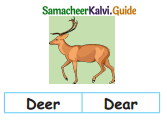 Samacheer Kalvi 4th English Guide Term 1 Prose Chapter 2 Do it yourself 11